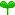 葉っぱ