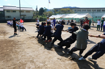 0X8A4596