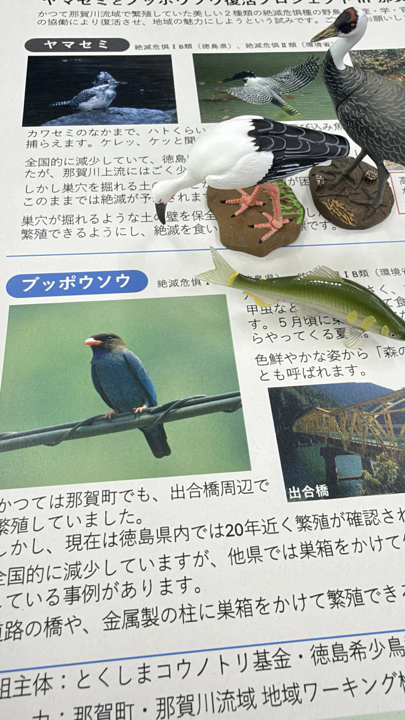Image_20261015_143031_782